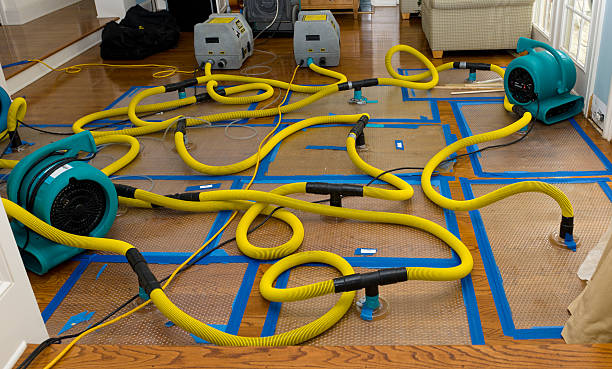 Professional Water Extraction technician working in Medusa, NY